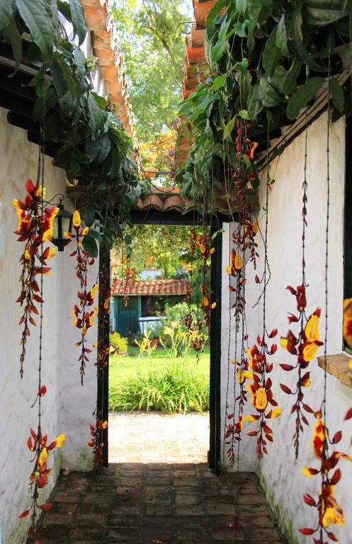 Casa San Nicolas 莱瓦镇 外观 照片